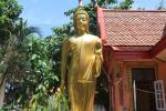 พัฒนาวัดหัวไทร วันที่พุธ ที่ 10 ก.ค. 2562