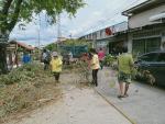 พัฒนา  และเก็บกิ่งไม้ บริเวณหลาดริมคลองหัวไทร