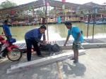 ปรับปรุงซ่อมแซมทางเท้า (ทิศตะวันตก) บริเวณหลาดริมคลองหัวไทร
