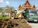 ร่วมกันพัฒนา และเก็บกิ่งไม้ บริเวณวัดหัวไทร