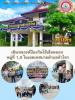 รณรงค์กำจัดยุงลาย บริเวณชุมชนบางไร่ และชุมชนตลาดสด