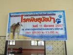 ฉีดวัคซีนป้องกันพิษสุนัขบ้า