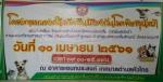 โครงการรณรงค์ฉีดวัคซีนป้องกันโรคพิษสุนัขบ้า 61